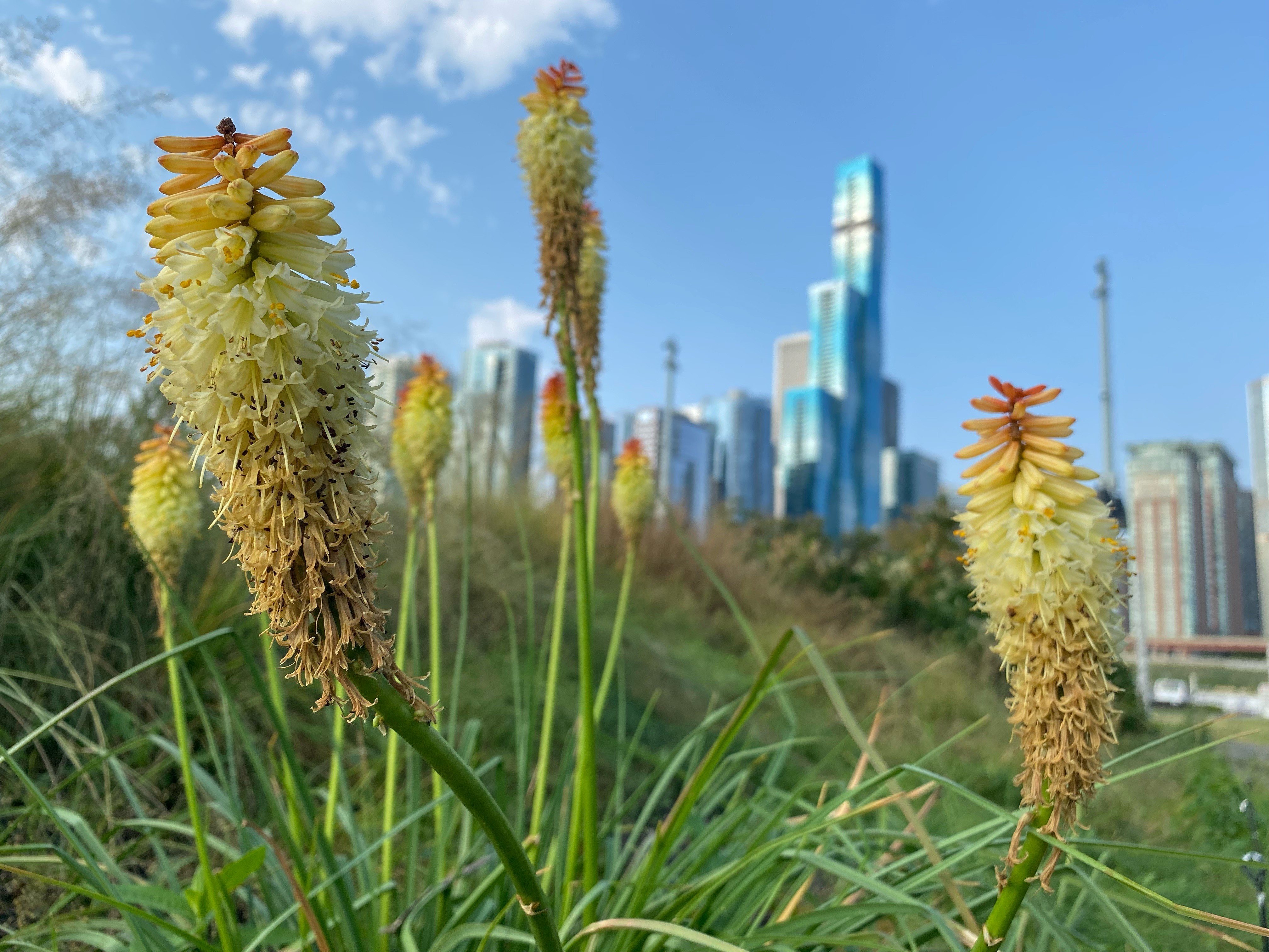 Autumn Equinox 2021: Timing, Weather and More for First Day of Fall in Illinois Autumn Equinox 2021: Timing, Weather and More for First Day of Fall in Illinois
