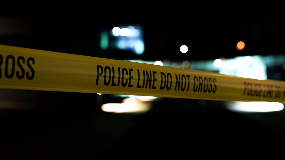 Woman Carjacked at Red Light on State Street - Vimarsana News