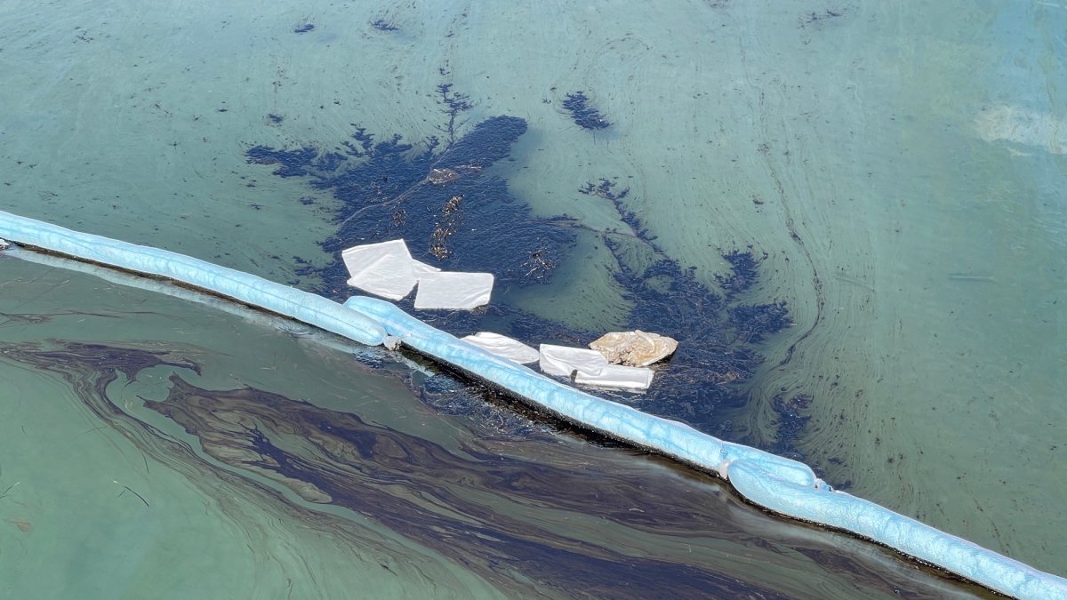 Questions Raised Over Response Time to California Oil Spill - Vimarsana News
