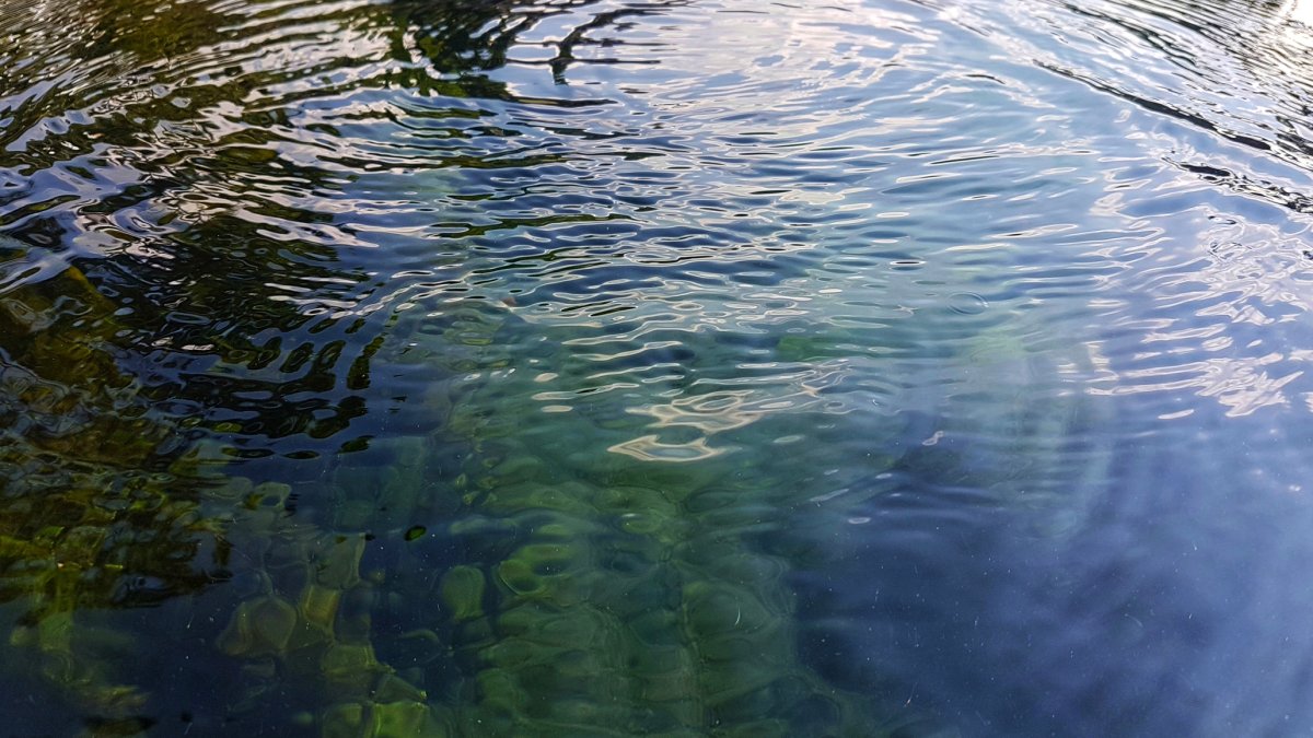 Body Found in Mississippi River Near St. Louis NBC Chicago