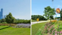Chicago Gateway Green Continues Mission to Beautify Area Roadways
