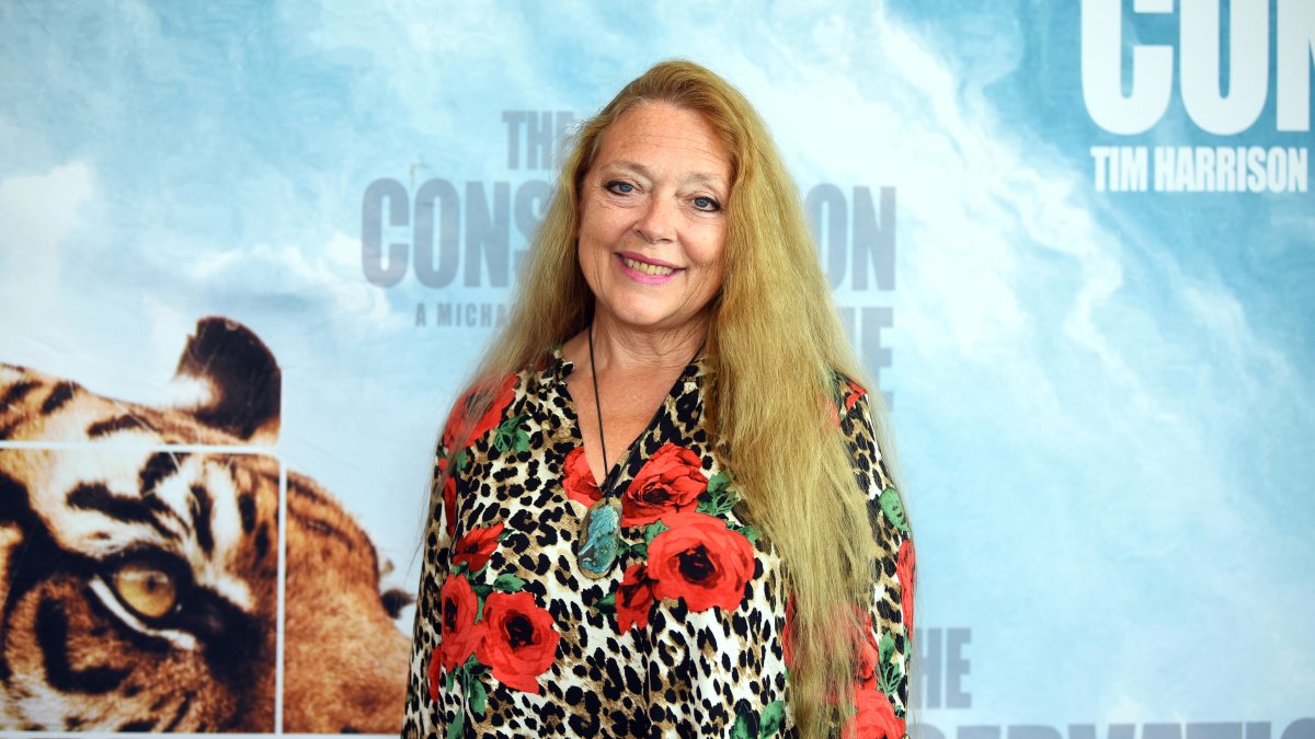 Carole Baskin Trying to Stop the Release of 'Tiger King 2' – NBC Chicago - Vimarsana News