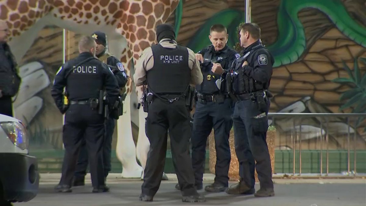 Man Charged With Attempted Murder for Shooting at Safari Land Indoor ...