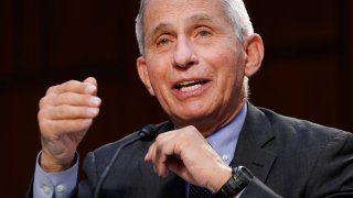 Dr. Anthony Fauci, director of the National Institute of Allergy and Infectious Diseases, testifies during a Senate Health, Education, Labor and Pensions Committee hearing on the federal coronavirus response on Capitol Hill on March 18, 2021 in Washington, DC.