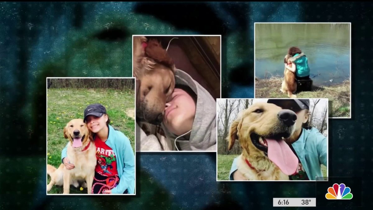 Woman Files Suit After Animal Control Allegedly Didn't Call Her, Put Dog Up for Adoption – NBC Chicago Woman Files Suit After Animal Control Allegedly Didn't Call Her, Put Dog Up for Adoption – NBC Chicago