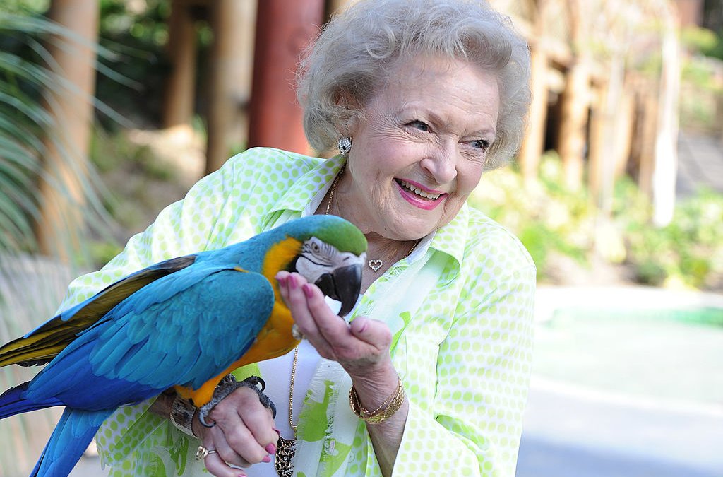 LA Zoo Honors Betty White on Her 100th Birthday – NBC Chicago - Vimarsana News