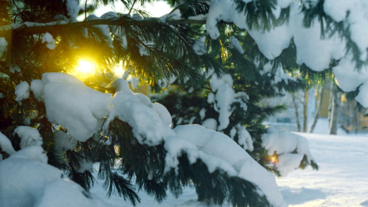 Winter Solstice 2021: First Day of Winter Tuesday, Shortest Day of Year ...