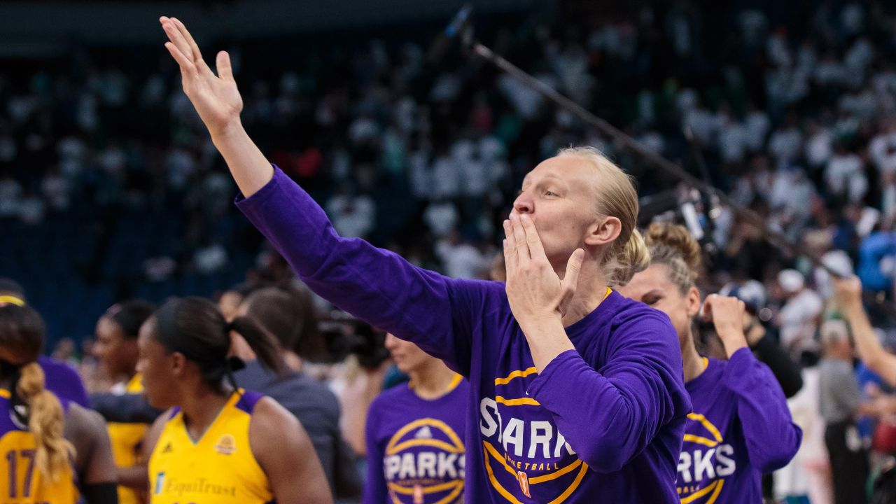 Chicago Sky Hire WNBA Champion Ann Wauters As Assistant Coach – NBC Chicago