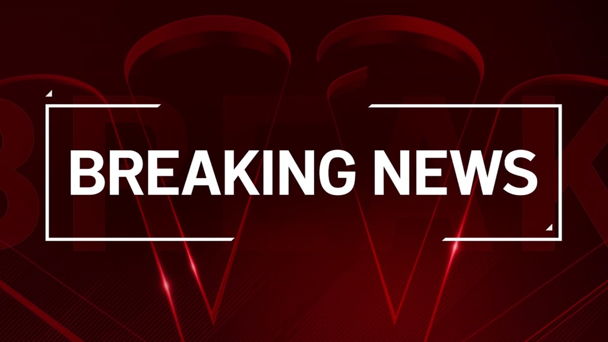 Alert issued after twin babies, mother reported missing in suburban Dolton