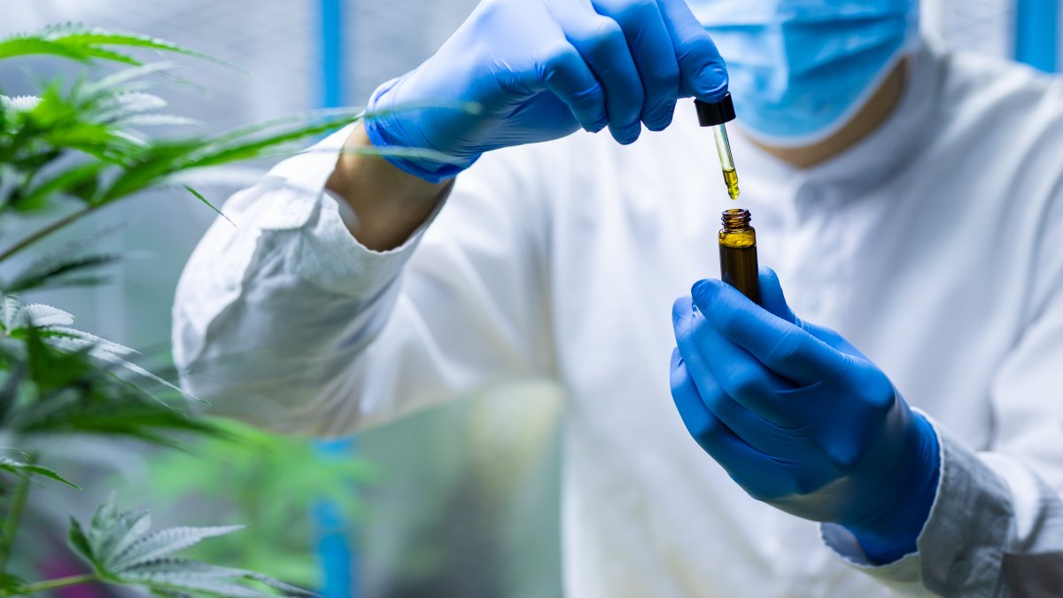 COVID-19 & Cannabis: Study Finds Hemp Compounds Prevent Coronavirus Infection – NBC Chicago - Vimarsana News