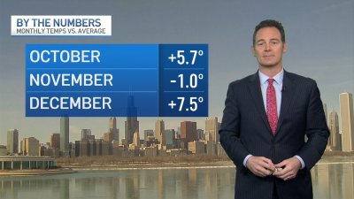 Chicago Forecast:  Milder, Shower Chances Increase