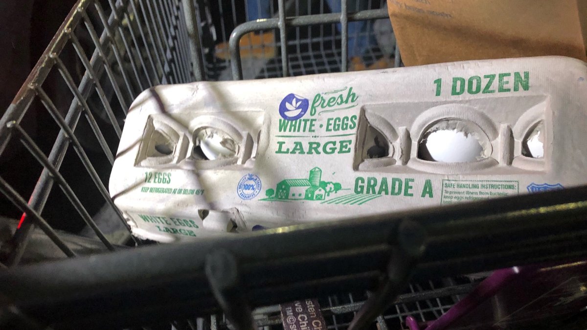 Bird Flu Bringing Higher Egg Prices, Mississippi Egg Producer says - Vimarsana News