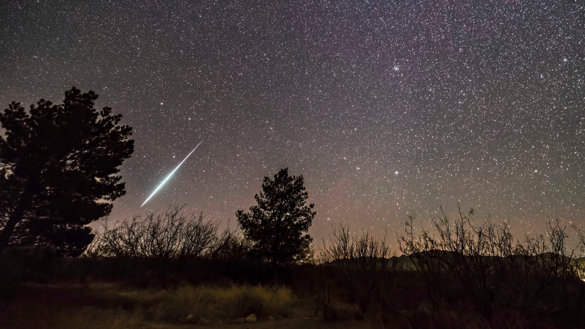 Lyrids Meteor Shower to Peak Next Week, Will Be Visible From Chicago