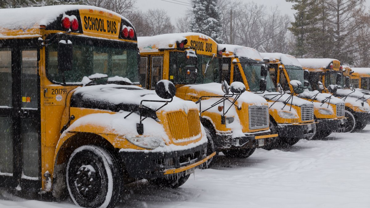 School Closings Numerous ChicagoArea Schools Cancel Class, Move to E