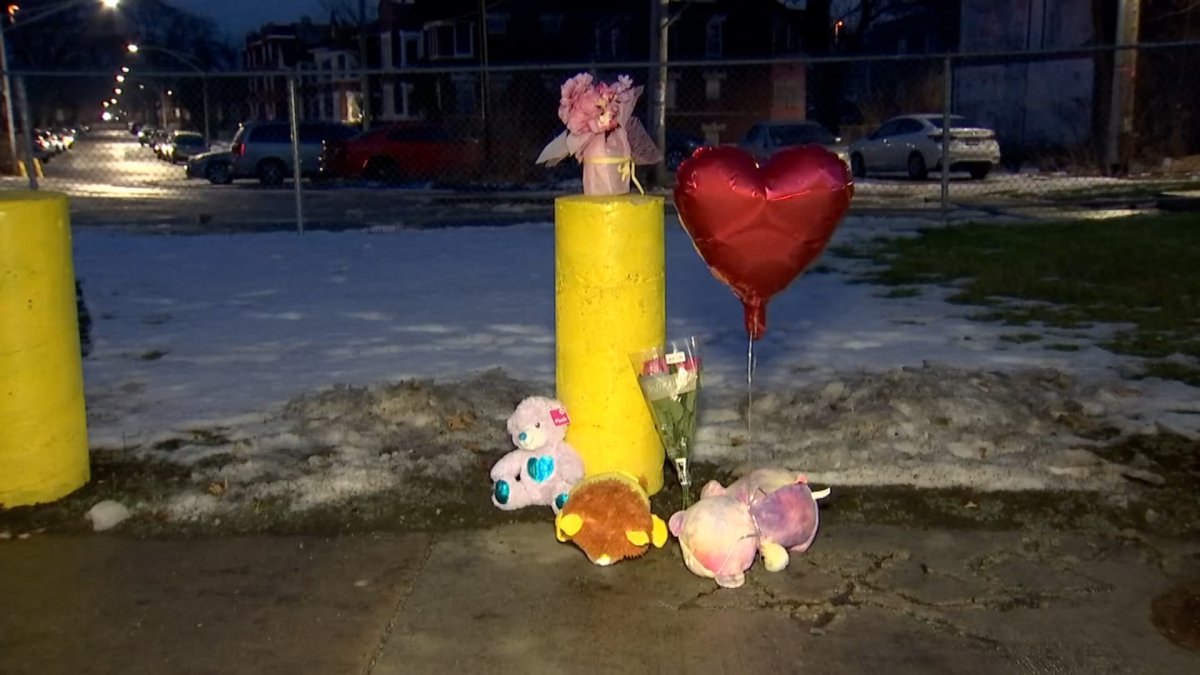 Pregnant Woman Fatally Shot While Sitting in Parked Car in Englewood - Vimarsana News