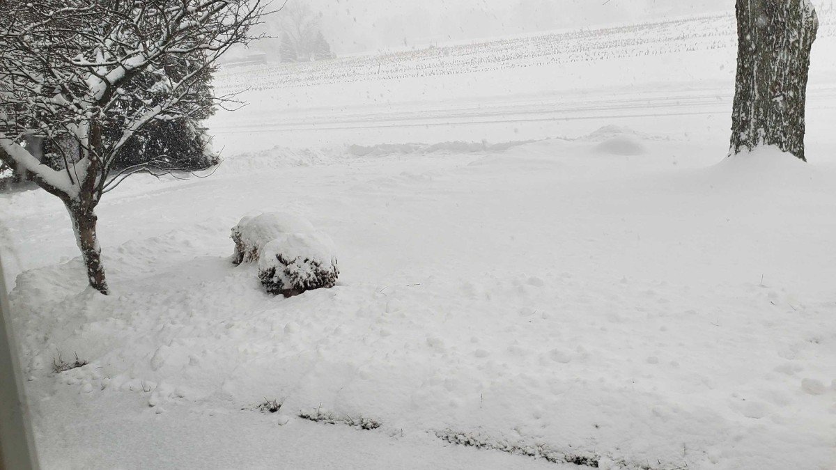 After Storm Dumps More Than 10 Inches of Snow on Parts of Chicago Area ...