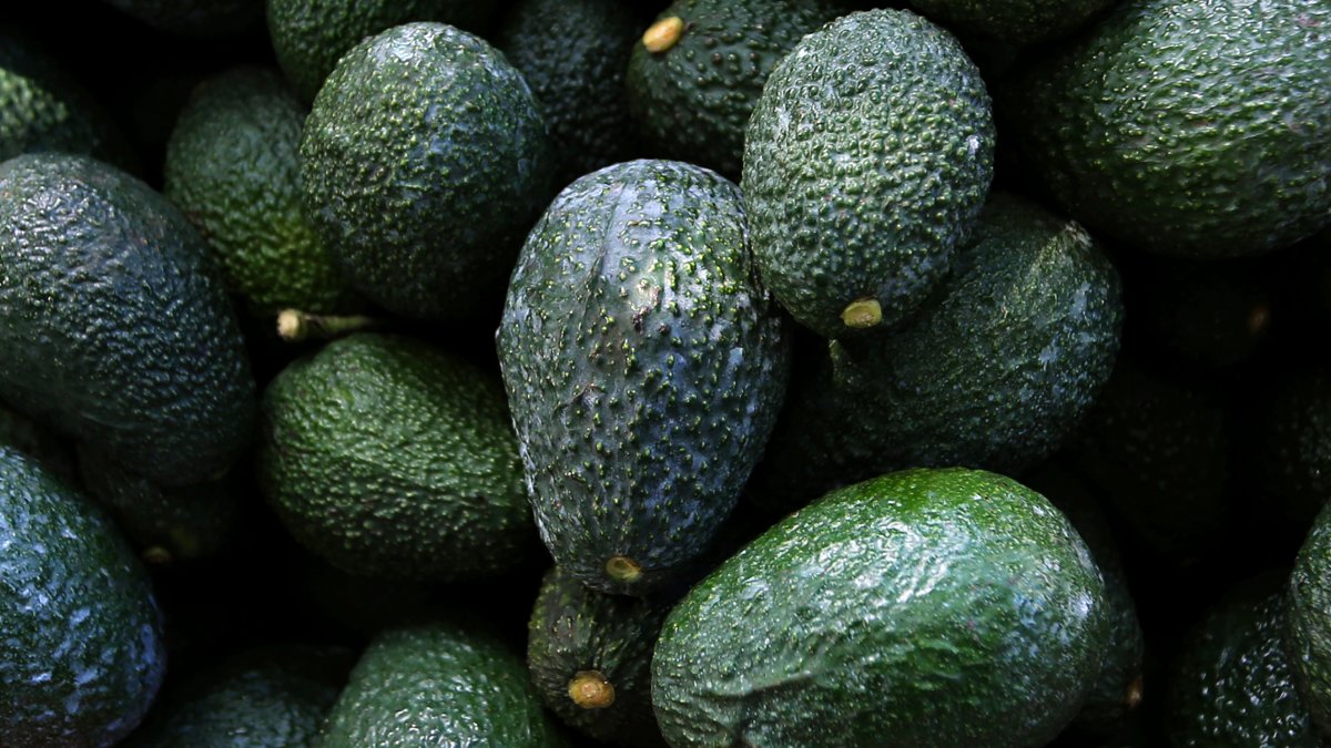 Avocado Prices Expected to Rise as Mexican Producers Feel Strain - Vimarsana News