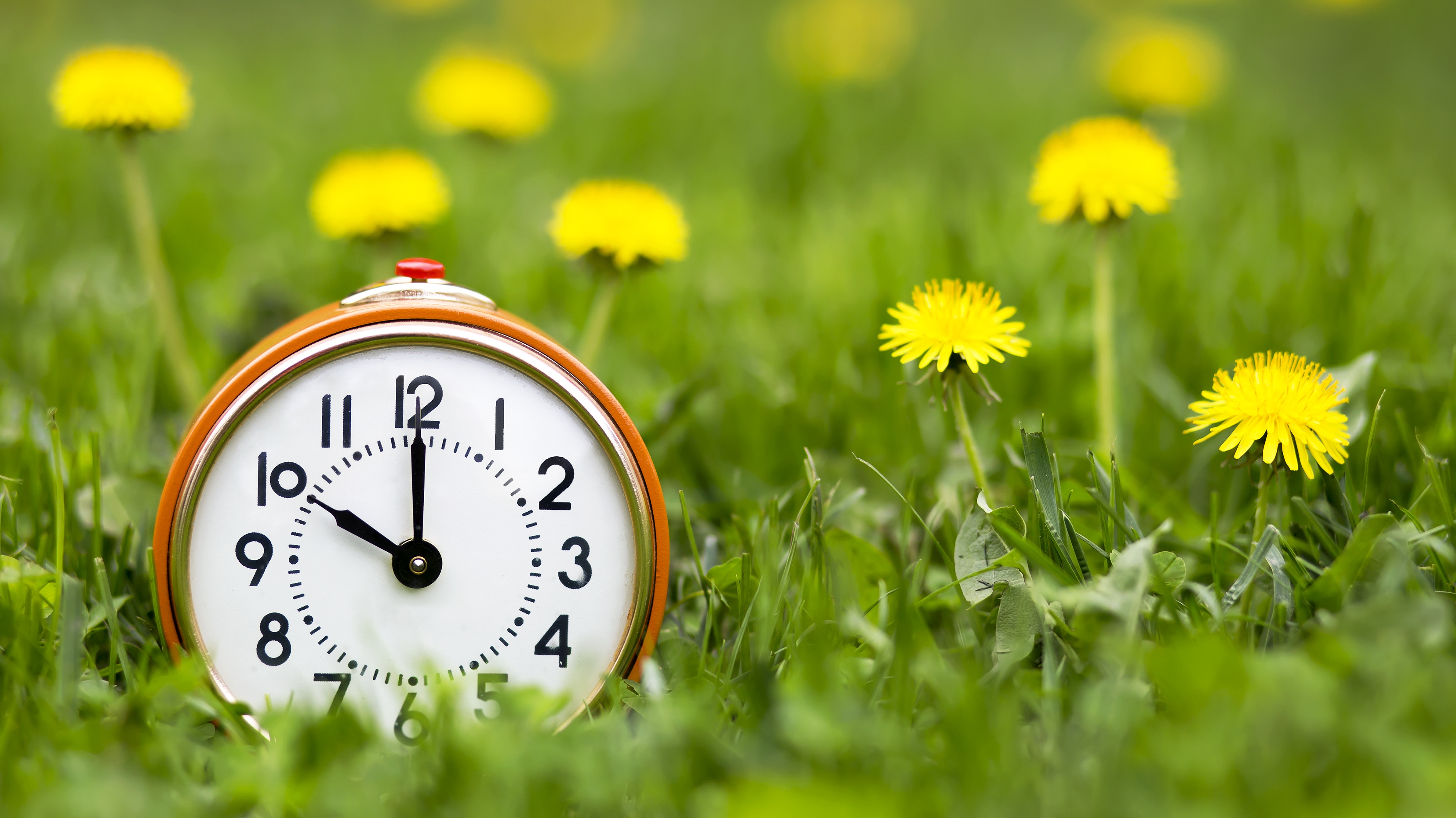 Daylight Saving Time: Why Do We Set Our Clocks Forward in Spring?