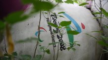 This photo taken on July 20, 2018 shows Fu Niu Lele, the mascot for the 2008 Beijing Paralympic Games, lying amongst trees behind an abandoned, never-completed mall in Beijing. - A decade after Beijing hosted the 2008 Olympics, its legacy remains unmistakable from the smallest alleyways in the Chinese capital to the country's growing clout abroad. For better or worse, the Games changed the face of Beijing: from the iconic Bird's Nest stadium to the countless blocks of ancient homes bulldozed in an Olympic building frenzy. (Photo by GREG BAKER / AFP) / TO GO WITH China-politics-Olympics-anniversary,FOCUS by Ben Dooley (Photo credit should read GREG BAKER/AFP via Getty Images)