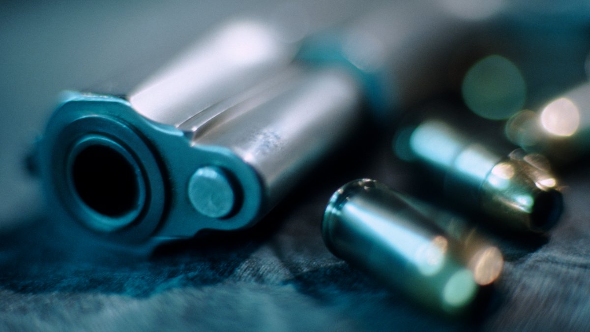Wisconsin's High Court Broadens Who Can Carry Concealed Guns - Vimarsana News