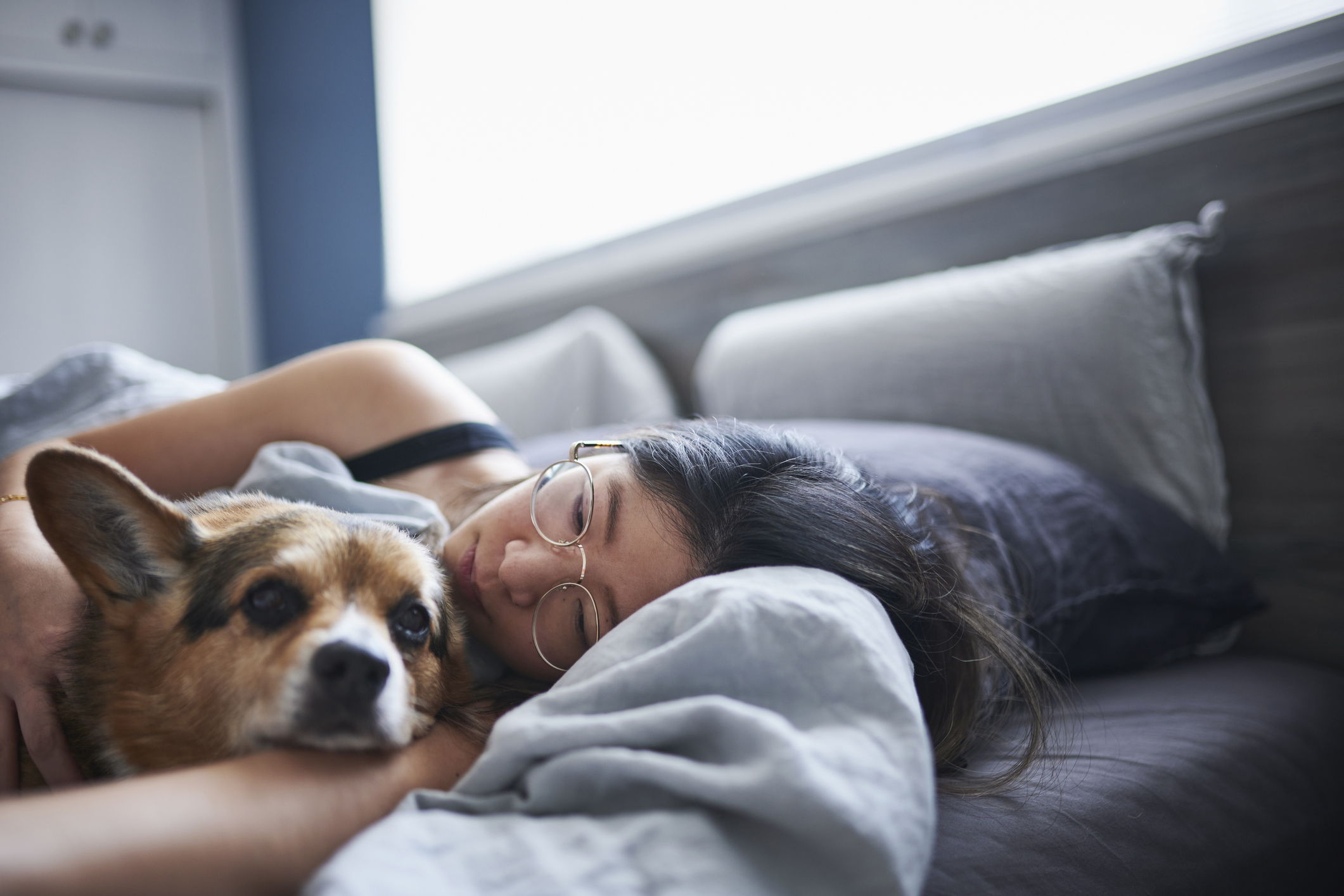 Can Dogs Get COVID? What to Know About the Coronavirus and Pets
