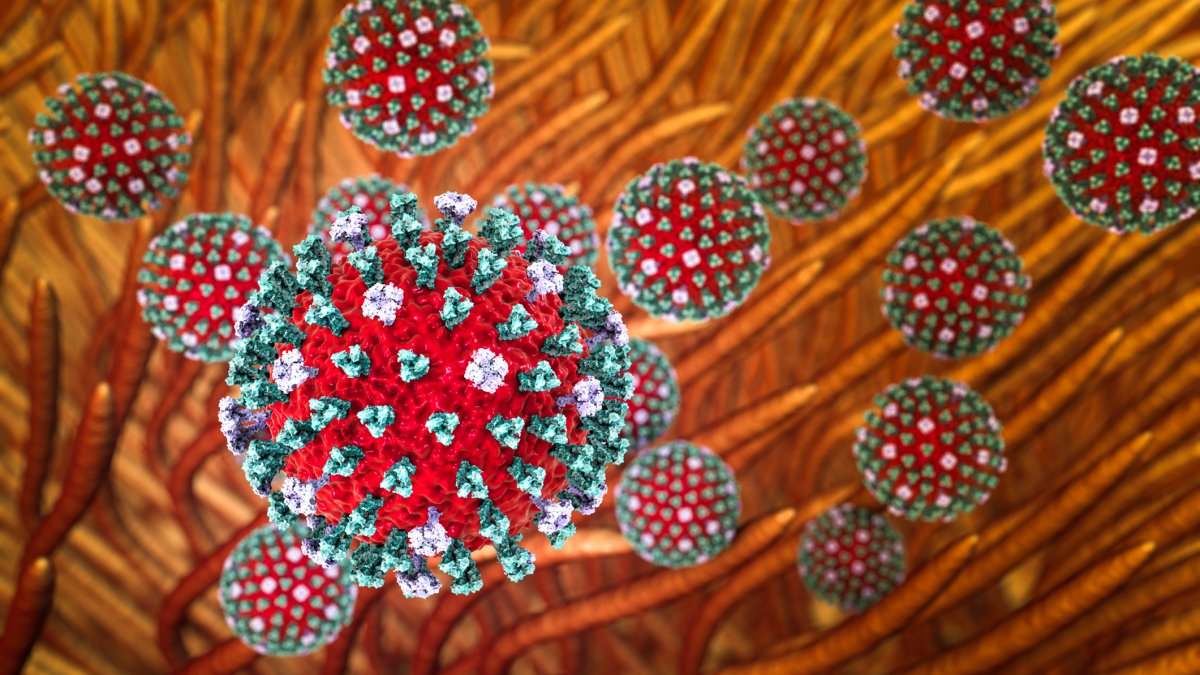 Highly Pathogenic Avian Flu Detected in Wisconsin Poultry Flock – NBC ...