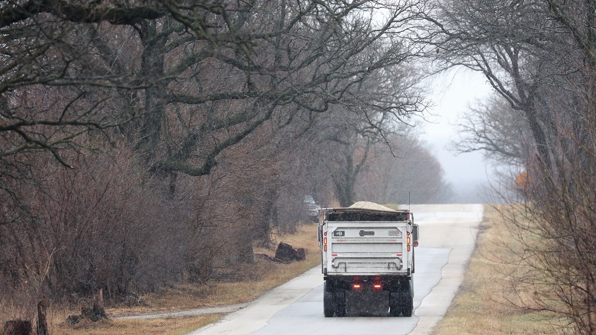 DNR Confirms Avian Flu in Wild Birds in 3 Michigan Counties - Vimarsana News