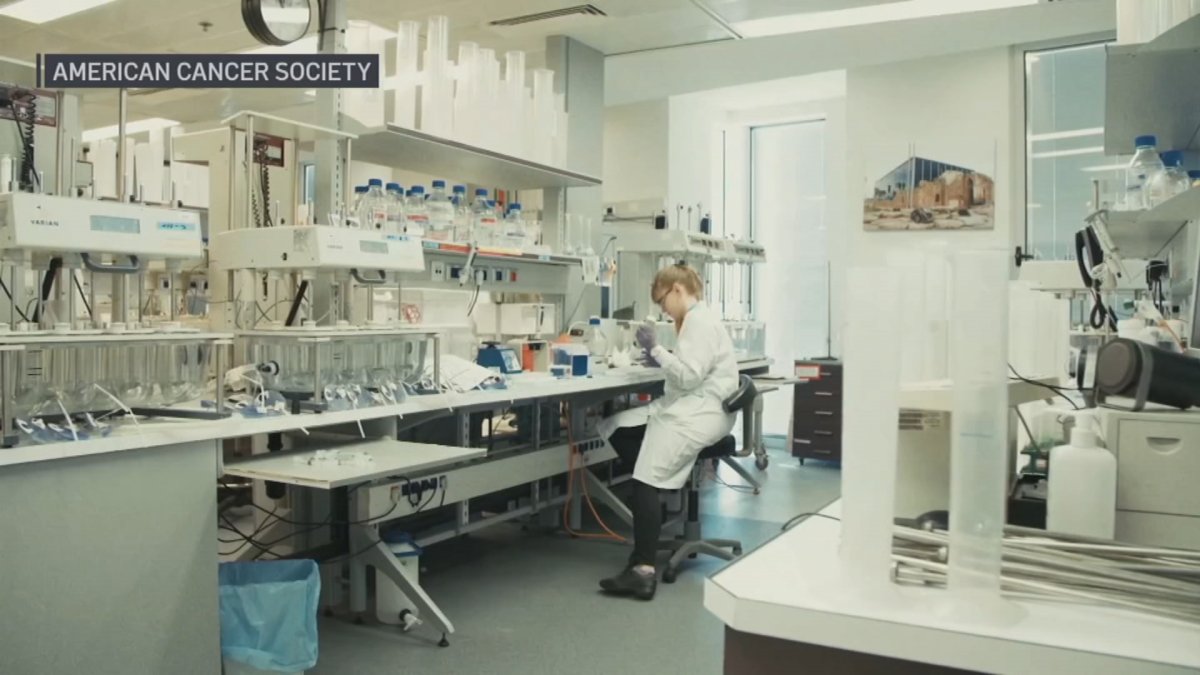Biomarker Testing, a 'Gamechanger' in Cancer Care, Now Covered in Illinois – NBC Chicago - Vimarsana News