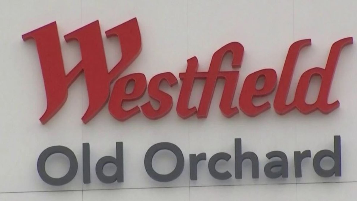 Westfield Old Orchard Mall Vlog · Visiting Shopping In Skokie Illinois ·  Northern Chicago Suburbs 