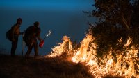 US Forest Chief Calls for Pause of Prescribed Fires