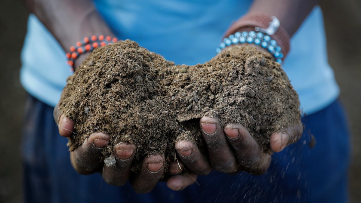 Russian War Worsens Fertilizer Crunch, Risking Food Supplies – NBC Chicago - Vimarsana News