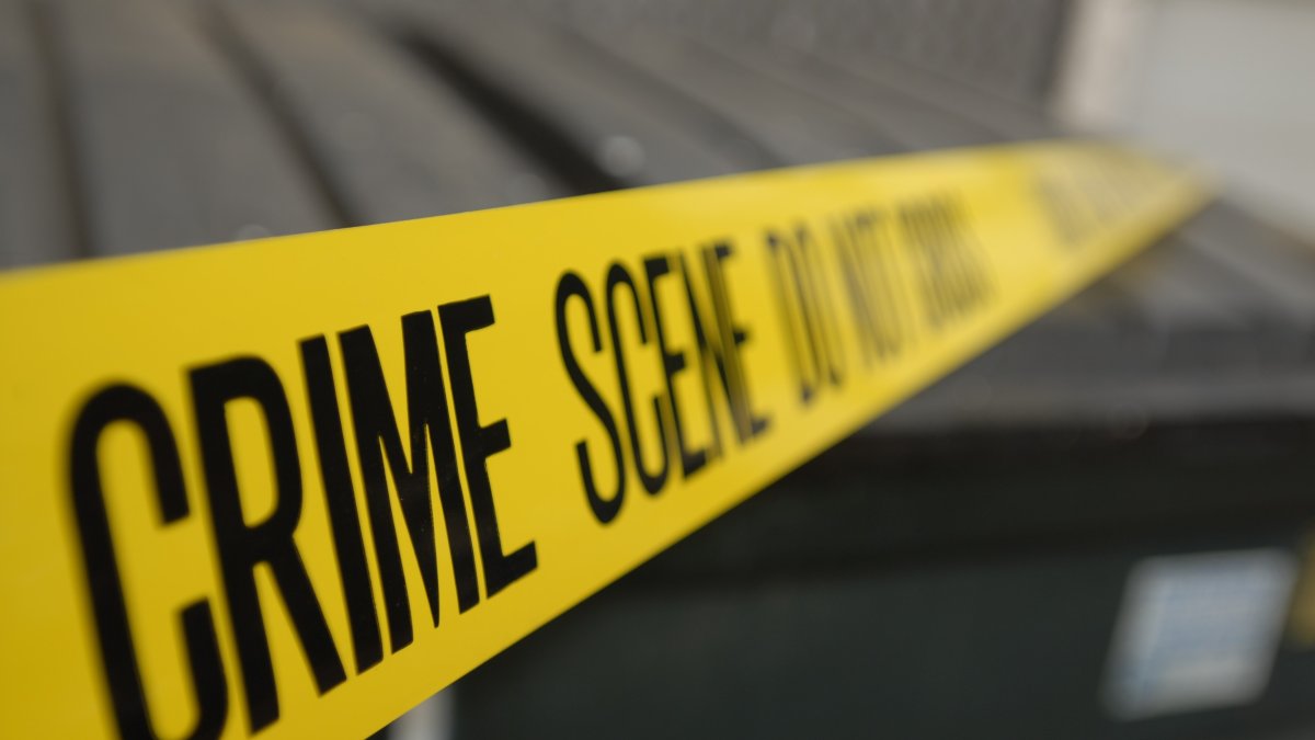 14-Year-Old Killed in Drive-By Shooting While Walking Near His Home Near Des Plaines - Vimarsana News