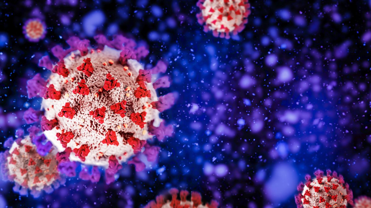Omicron XE Variant: What We Know About the Hybrid COVID Variant - Vimarsana News