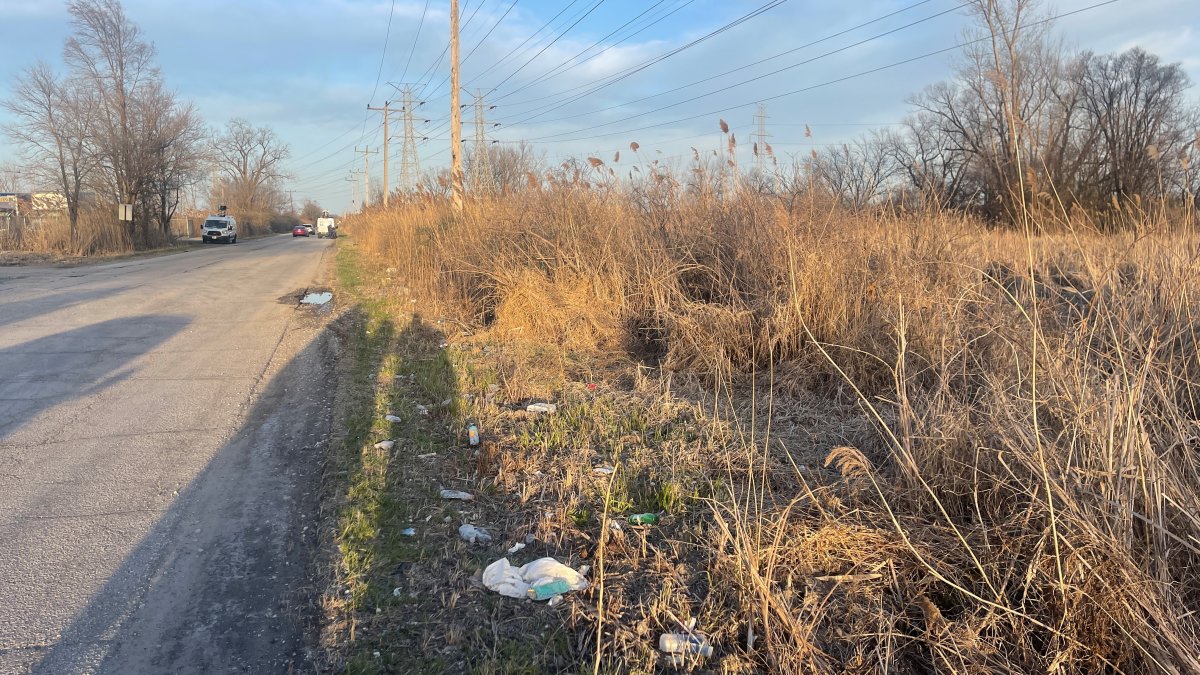 'Body' Found in Gary Determined to be Life-Size Doll: Police – NBC Chicago - Vimarsana News