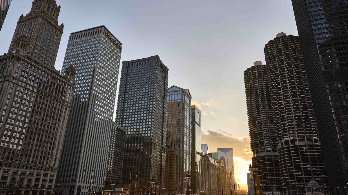 Things to Do in Chicago This Weekend - Vimarsana News