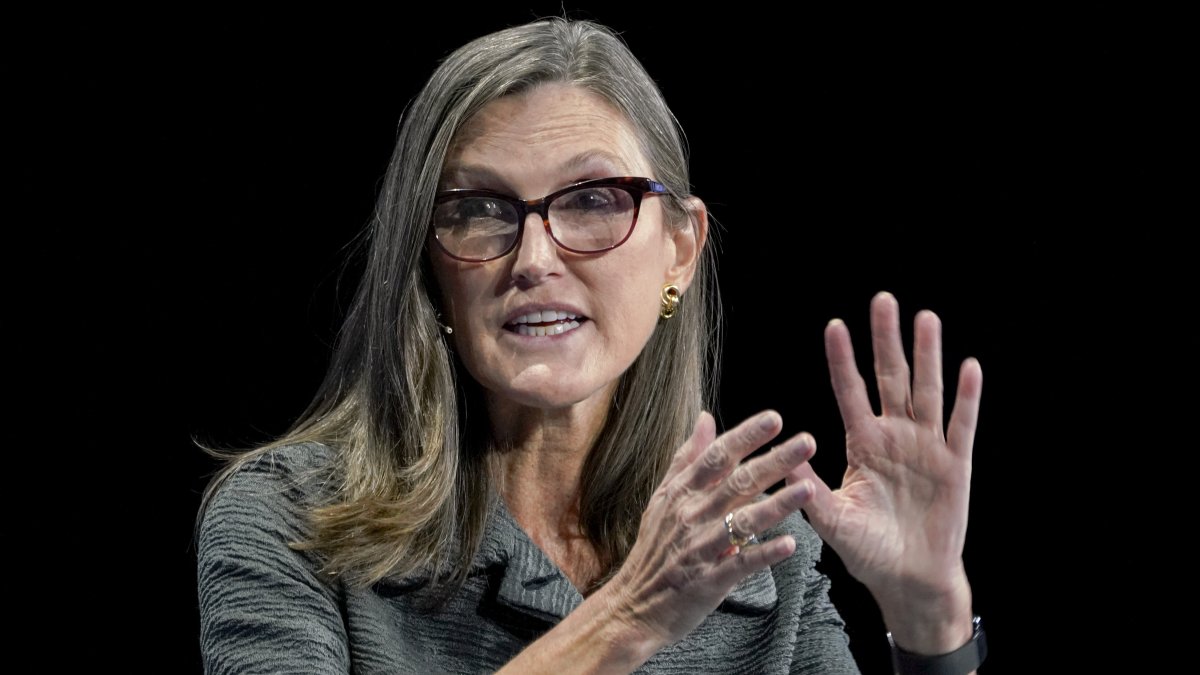 Why the Fund Shorting Cathie Wood's ARKK Is Now Ultra-Long the ETF - Vimarsana News