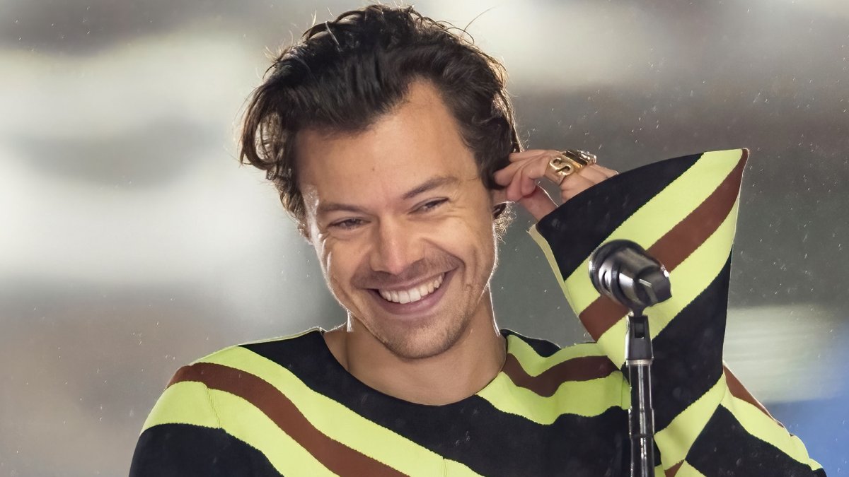 Here's Where Harry Styles Went in Chicago Before His United Center Show Was Canceled