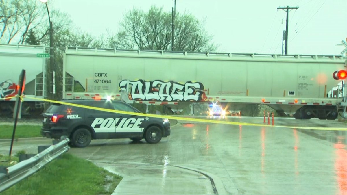 Pedestrian Struck, Killed by Freight Train in Elmhurst - Vimarsana News