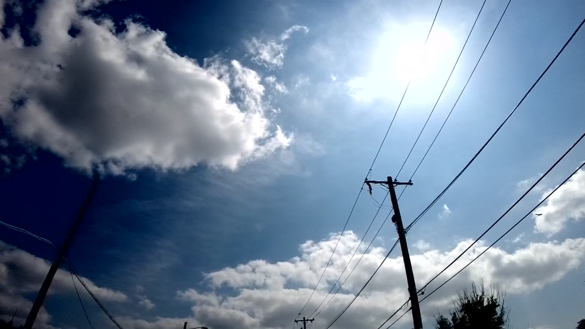 Heat stroke, heat exhaustion: the symptoms to watch for in extreme temperatures