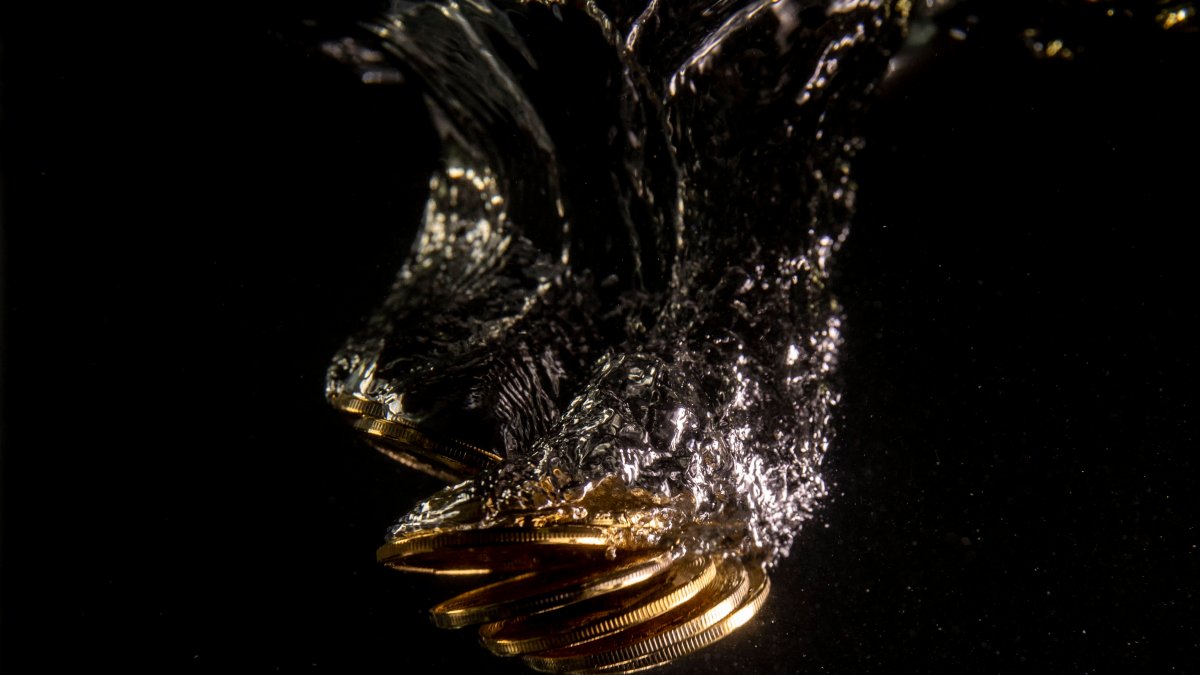 Bankrupt Crypto Lending Platform Celsius Is Trying to Hire Its CFO Back at  $92,000 a Month, Filings Say – NBC Chicago