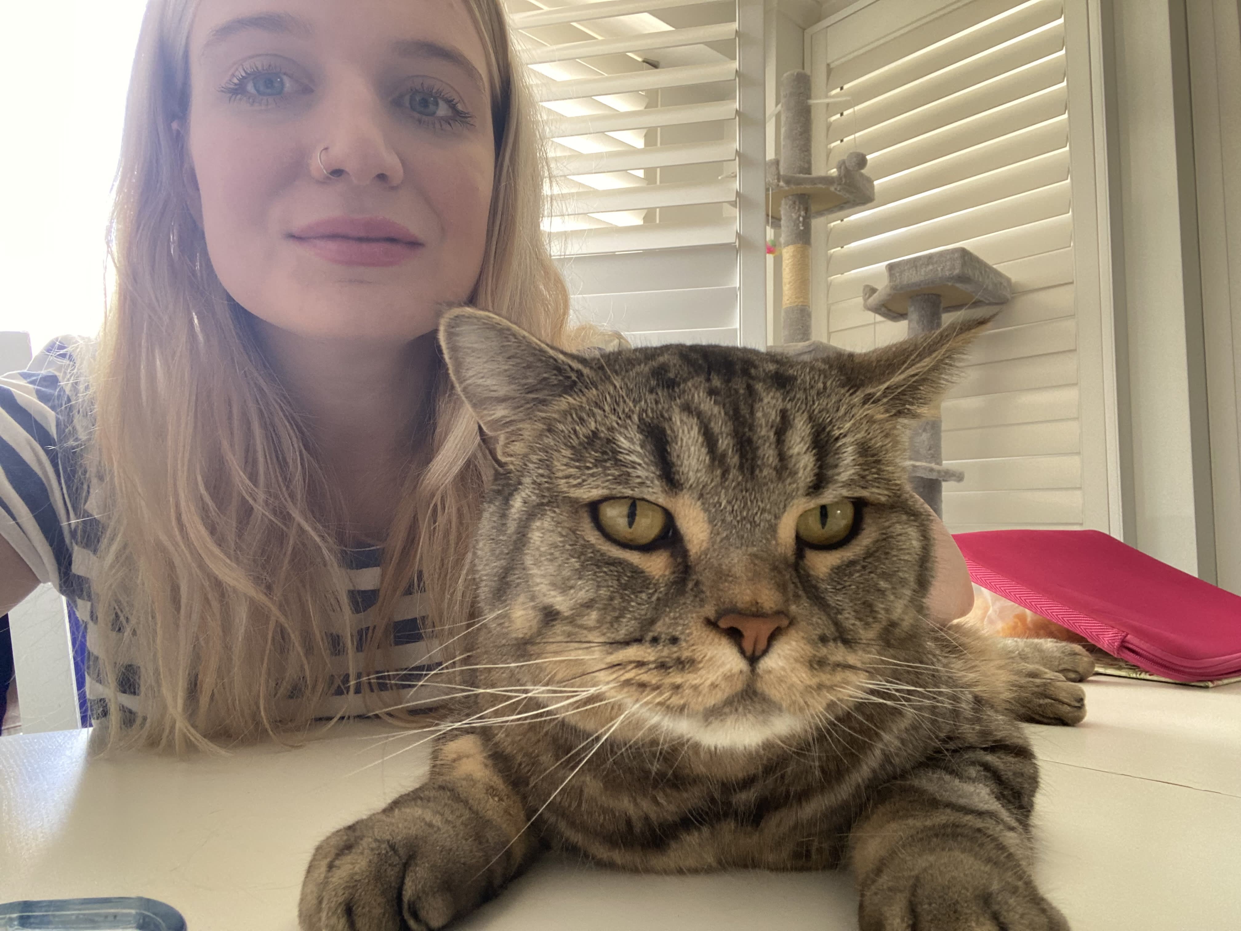 This 32-Year-Old Australian Woman Has Saved $28,000 on Travel by Cat-Sitting Around the World — Here's How - Vimarsana News