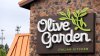 Midwest Olive Garden Manager Fired After Intense Crackdown on Call-Offs