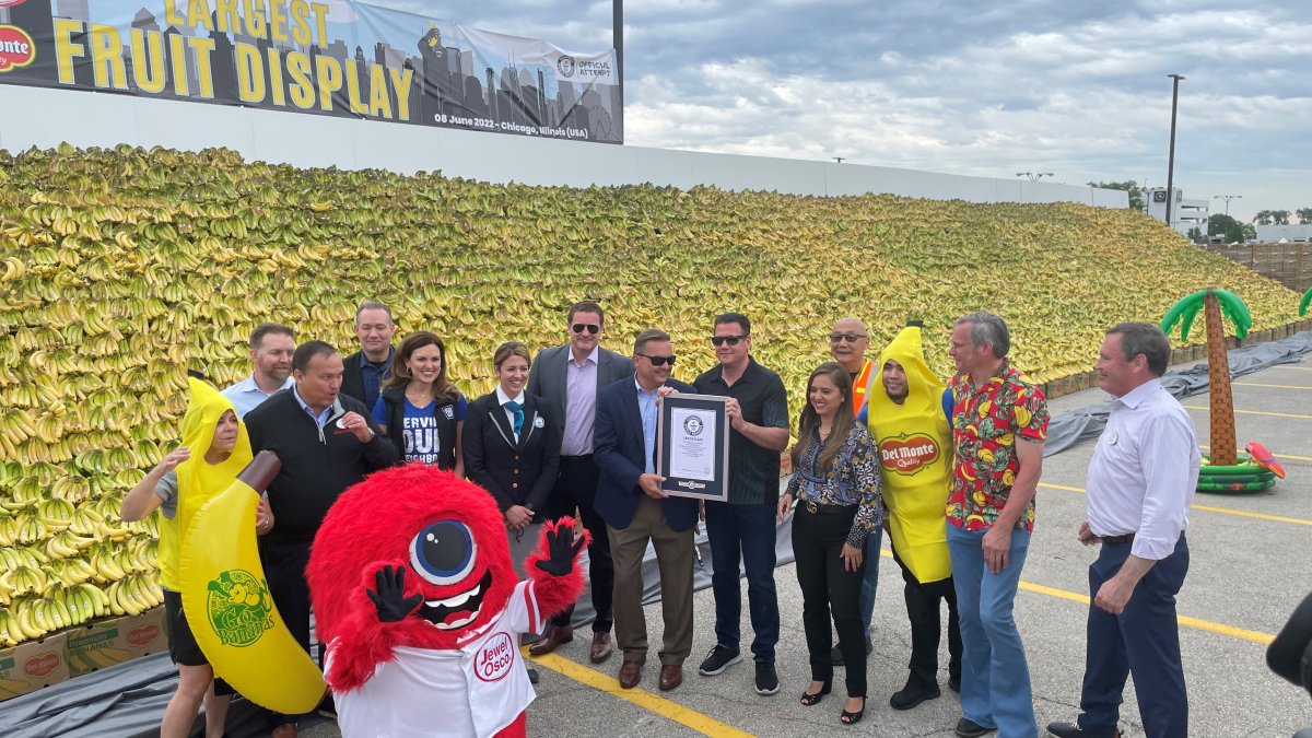 It's Official: A 70k Banana Display in a Chicago Suburb Just Broke a Guinness World Record - Vimarsana News