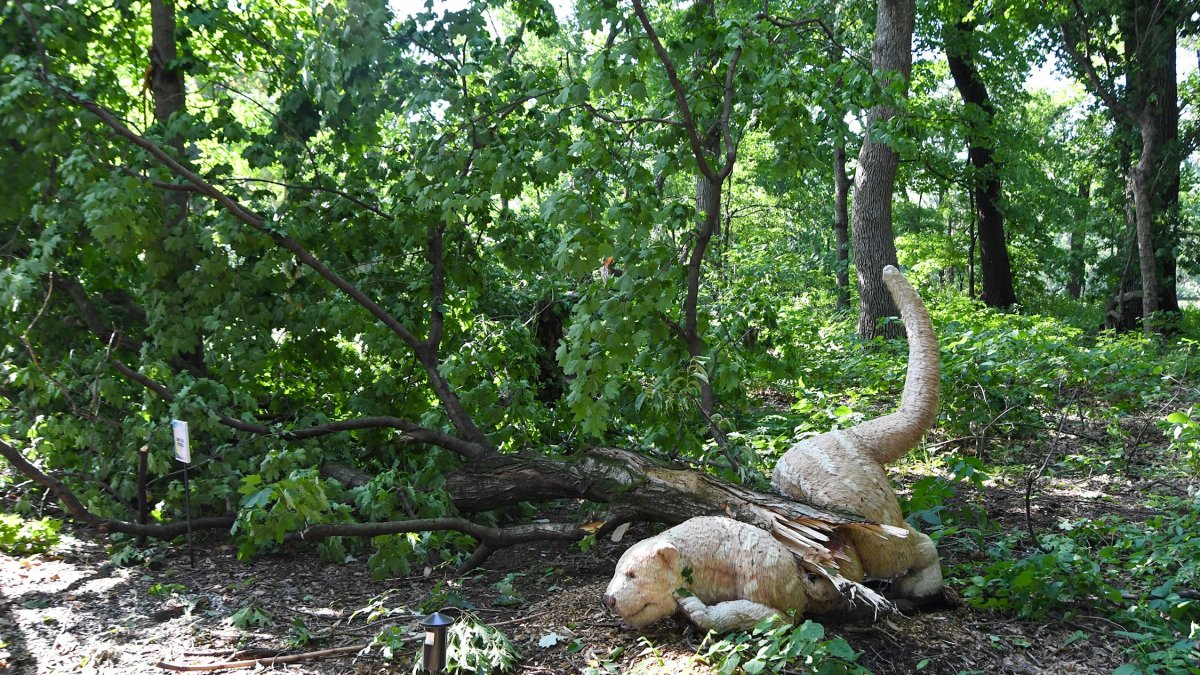 PHOTOS Brookfield Zoo Grounds See ‘Significant Damage’ From Severe
