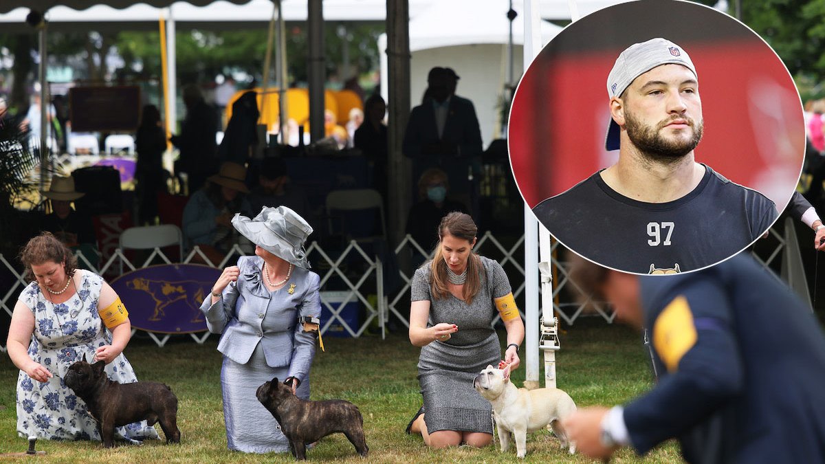 Westminster Dog Show Gets 4 Finalists, and One Has NFL Ties – NBC Chicago - Vimarsana News
