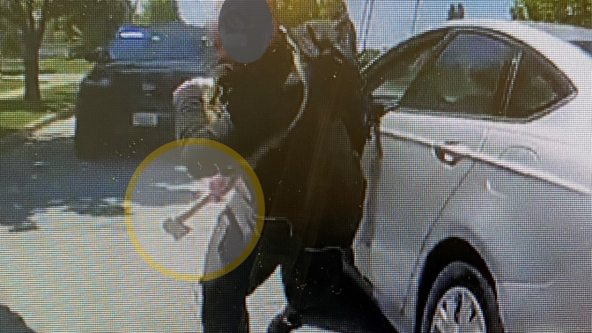 Authorities Release Name of Hatchet-Wielding Man Killed by Naperville