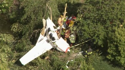 Watch: Small Plane Crashes Into Tree in Suburban Monee