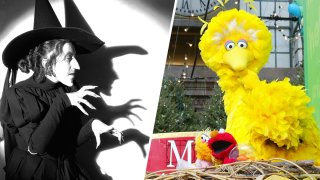 (L) Margaret Hamilton as the Wicked With of the West in "The Wizard of Oz." (R) Sesame Street's Big Bird and friends.
