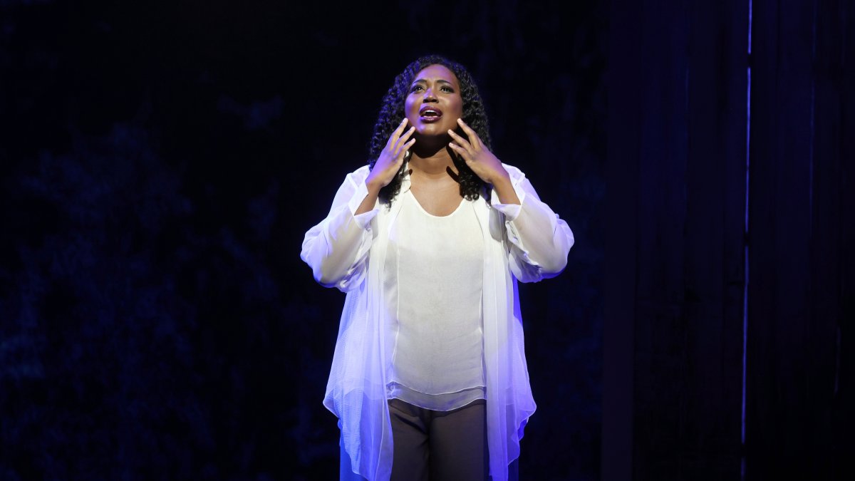 US Soprano, Offended by Blackface, Pulls Out of Italy Opera - Vimarsana News