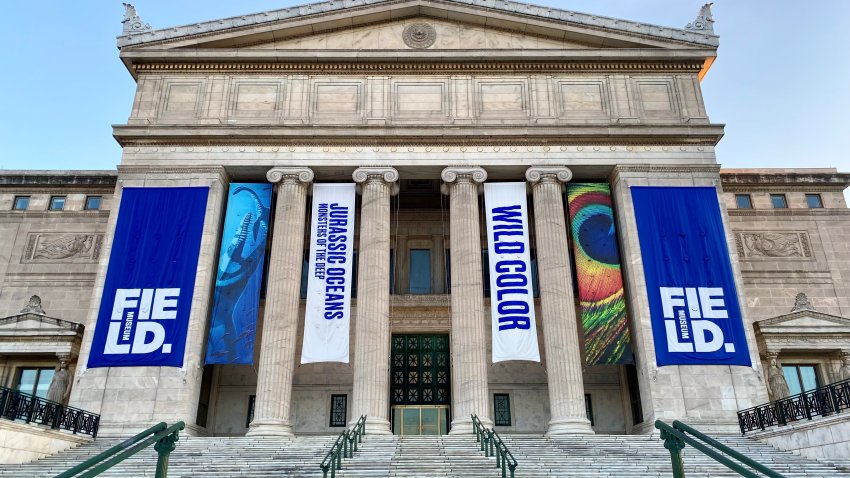 The Field Museum in Chicago on July 25, 2022.